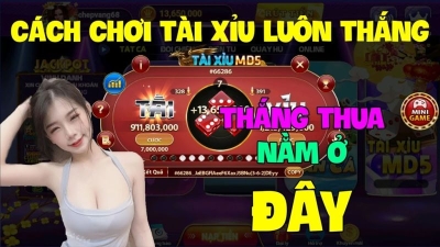 Cách Đánh Tài Xỉu Luôn Thắng: Bí Quyết Vàng Cho Người Chơi